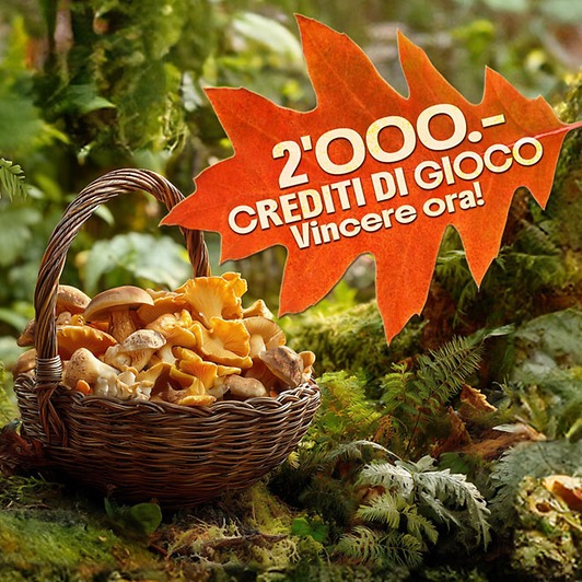 un cestino colmo di deliziosi funghi,sorteggio